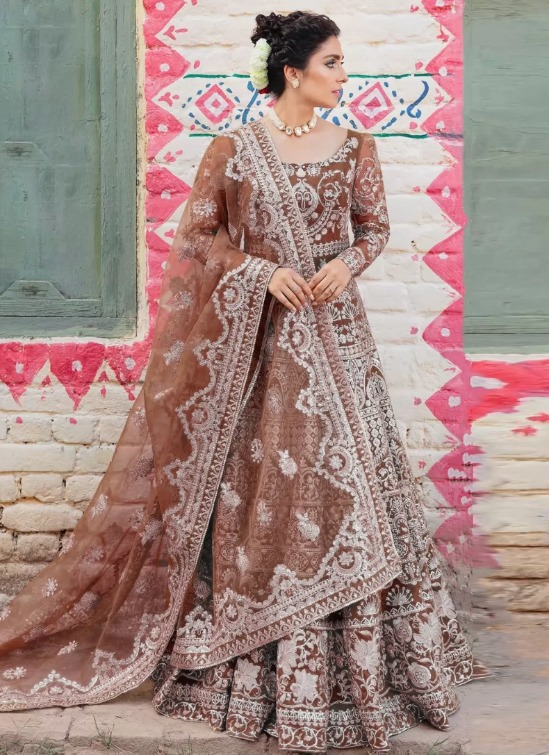 Pakistani bridal clearance anarkali dresses