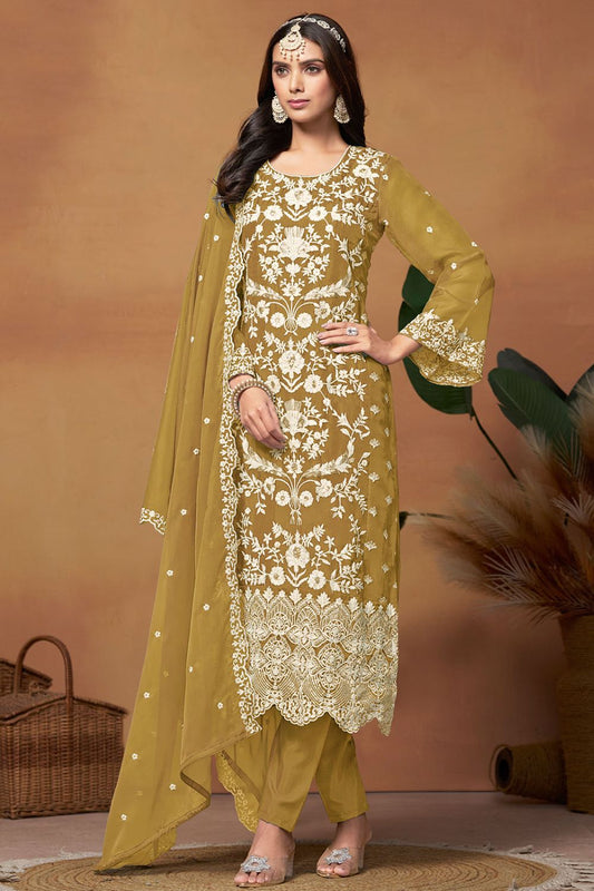 Plus Size Heena Colour Embroidered Organza Suit SFDFS28901